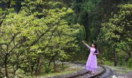 风景最新爆料视频,震撼视频带你领略绝美风光